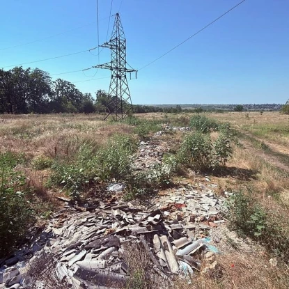 На Миколаївщині підтвердили незаконне скидання відходів тваринного походження. Фото: Держекоінспекція Південно-Західного округу
