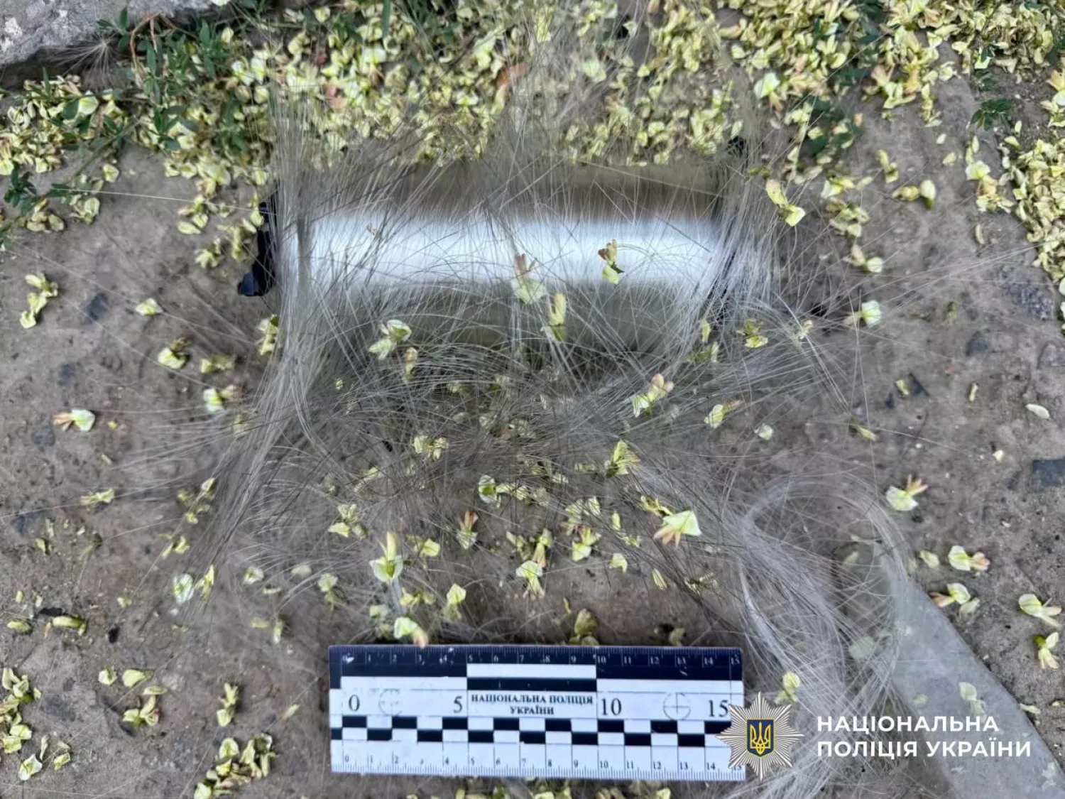 Наслідки обстрілу Херсонщини. Фото: Нацполіція