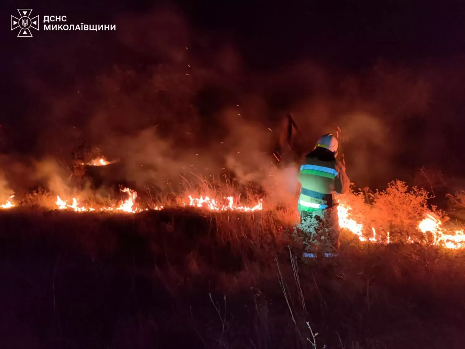 Пожежа у Миколаївській області. Фото: ДСНС