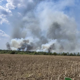 Через спеку на Херсонщині детонують міни. Фото: Ліси України