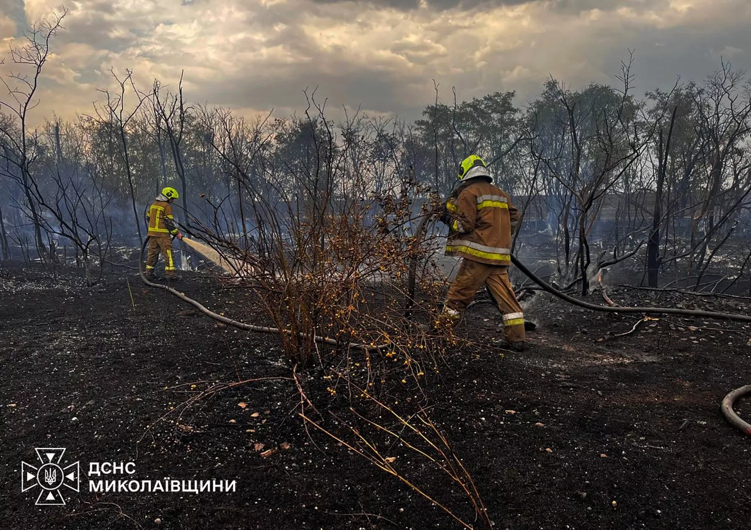 На Миколаївщині вигоріло понад 50 гектарів територій. Фото: ГУ ДСНС у Миколаївській області