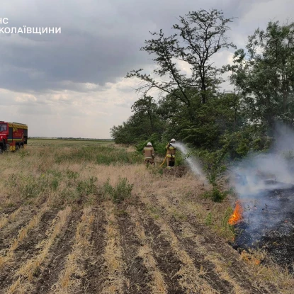 На Миколаївщині вигоріло понад 50 гектарів територій. Фото: ГУ ДСНС у Миколаївській області