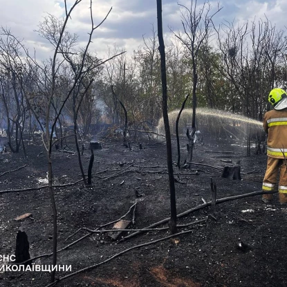 На Миколаївщині вигоріло понад 50 гектарів територій. Фото: ГУ ДСНС у Миколаївській області