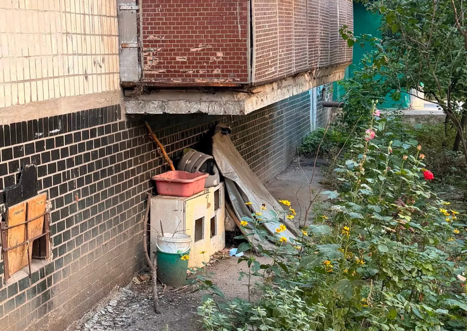 У Миколаєві мешканці поскаржилися на сміття та будки для тварин під балконами. Фото: Contact Center при Миколаївській міській раді