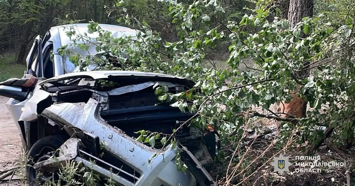 На польовій дорозі біля Нової Одеси легковик врізався в дерево. Фото поліції Миколаївщини