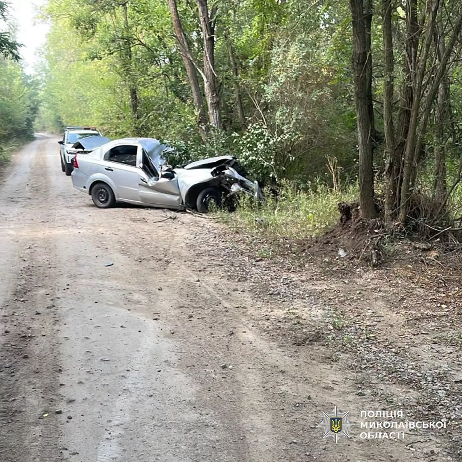 На польовій дорозі біля Нової Одеси легковик врізався в дерево. Фото поліції Миколаївщини