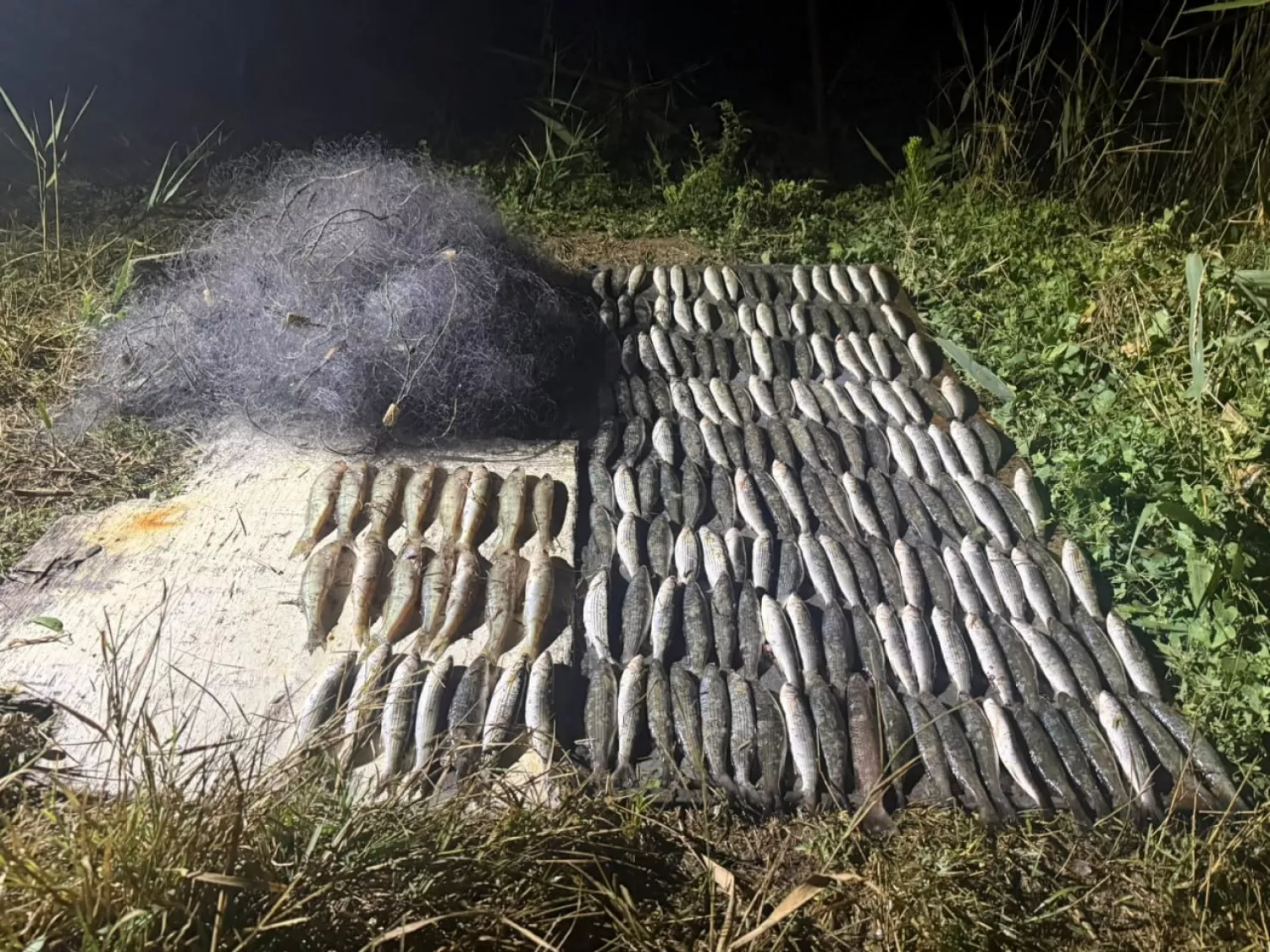 На Березанському лимані чоловік незаконно виловив рибу на понад ₴339 тис. Фото: Держекоінспекція