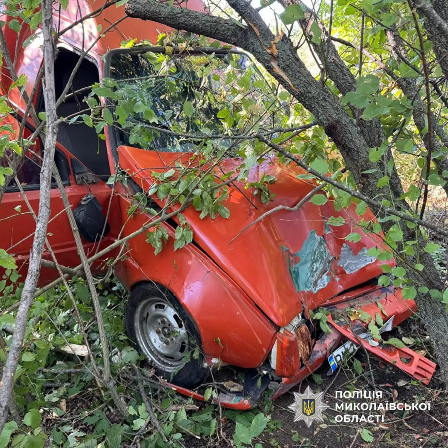 У Вознесенському районі автомобіль з’їхав у кювет і врізався в дерево. Фото: поліція Миколаївщини
