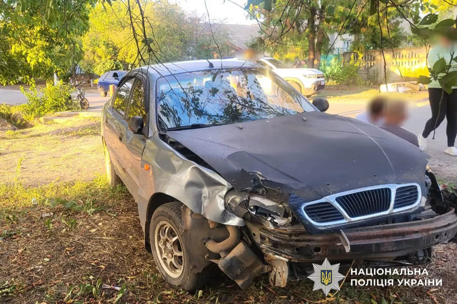 Смертельна ДТП у Миколаївському районі. Фото нацполіція