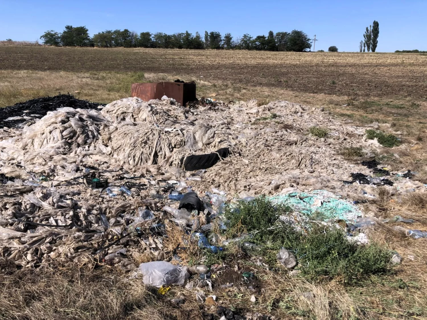 На Одещині вимагають прибрати стихійне сміттєзвалище. Фото Держекоінспекція Південно-Західного округу.