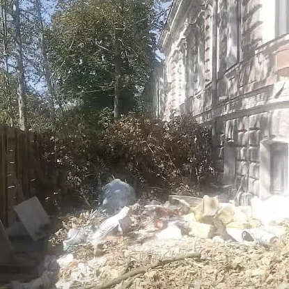 На місці платанів біля історичної будівлі у центрі Миколаєва після спилу залишилися зрізані гілки. Фото: Дмитро Рябченко