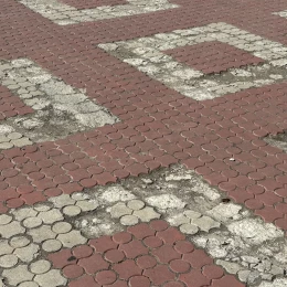 Стан плитки біля головного входу в зоопарк. Фото: МикВісті