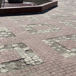 Стан плитки біля головного входу в зоопарк. Фото: МикВісті