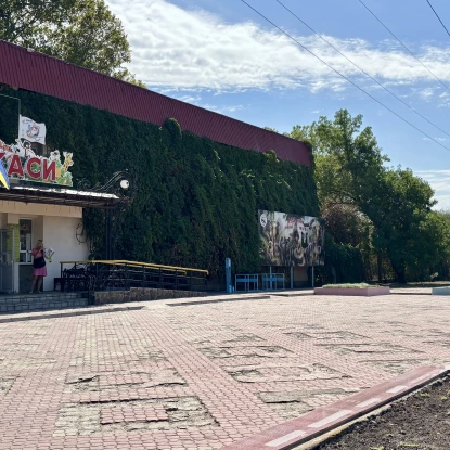 Стан плитки біля головного входу в зоопарк. Фото: МикВісті