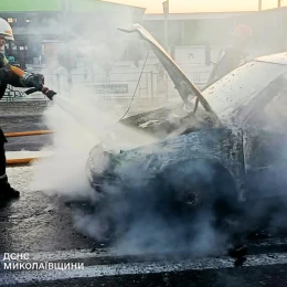 Ліквідація пожежі у Миколаївській області. Фото: ДСНС