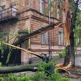 Злива та сильний вітер повалили дерева в Одесі. Фото: Одеська міська рада