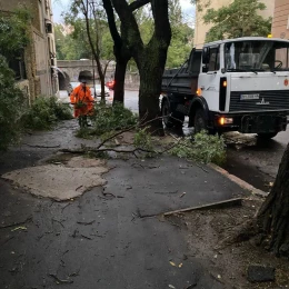 Злива та сильний вітер повалили дерева в Одесі. Фото: Одеська міська рада