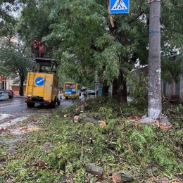 Злива та сильний вітер повалили дерева в Одесі. Фото: Одеська міська рада