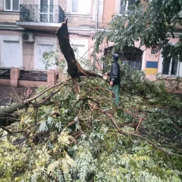 Злива та сильний вітер повалили дерева в Одесі. Фото: Одеська міська рада