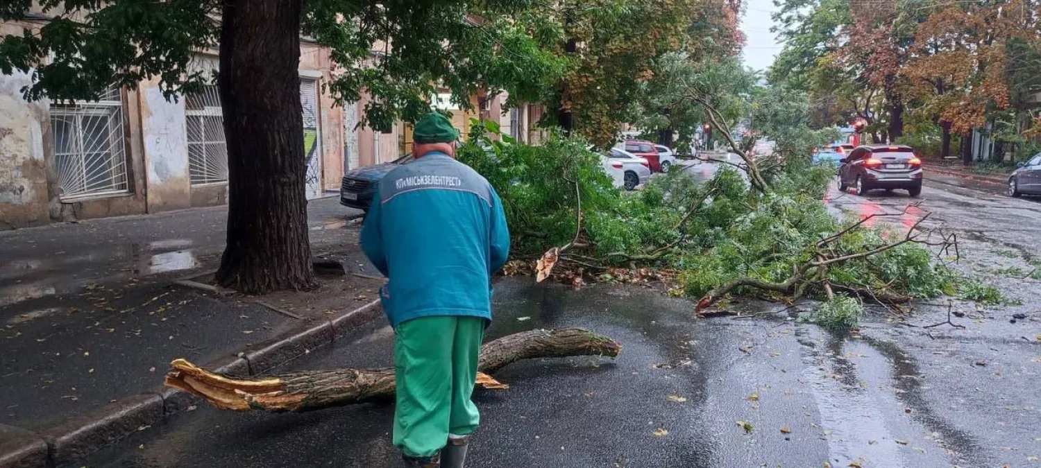 Злива та сильний вітер повалили дерева в Одесі. Фото: Одеська міська рада
