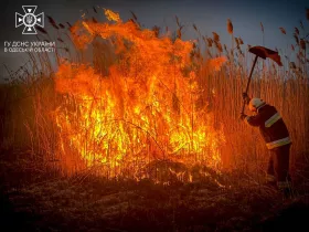Пожежі в екосистемах Одещини завдали збитків майже на ₴4 млрд. Ілюстративне фото: ДСНС