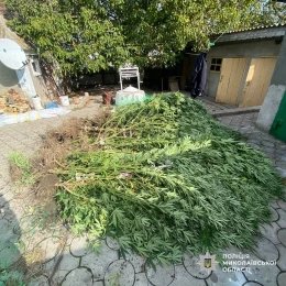 Фото з місця обшуку, поліція Миколаївської області