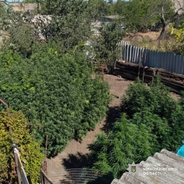Фото з місця обшуку, поліція Миколаївської області