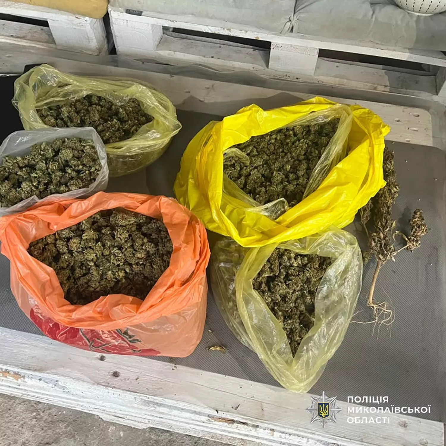 Фото з місця обшуку, поліція Миколаївської області