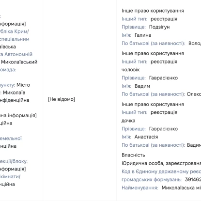 Скриншот з декларації Галини Подзігун за 2024 рік