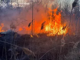 На Одещині після обстрілу вигоріло 4,8 га рослинності. Ілюстративне фото: ДСНС