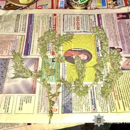 На Первомайщині у місцевого жителя вилучили 8 гранат, рушниці та канабіс. Фото нацполіція