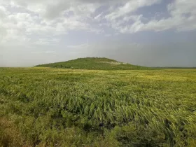 Курган в Бериславському районі Херсонщини. Фото: Денис Сікоза
