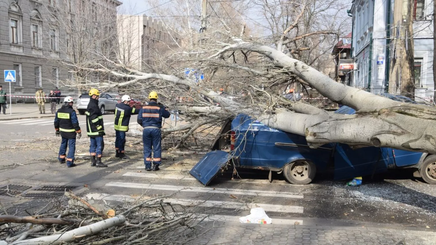 Рятувальники ДСНС прибирають дерево, що впало на автомобіль у Миколаєві. Архівне фото від 2019 року