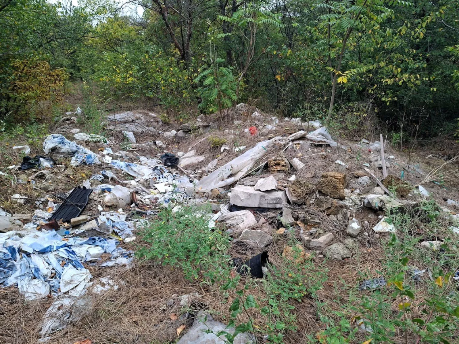 Стихійне сміттєзвалище біля Красносілки. Фото Державна екологічна інспекція Південно-Західного округу