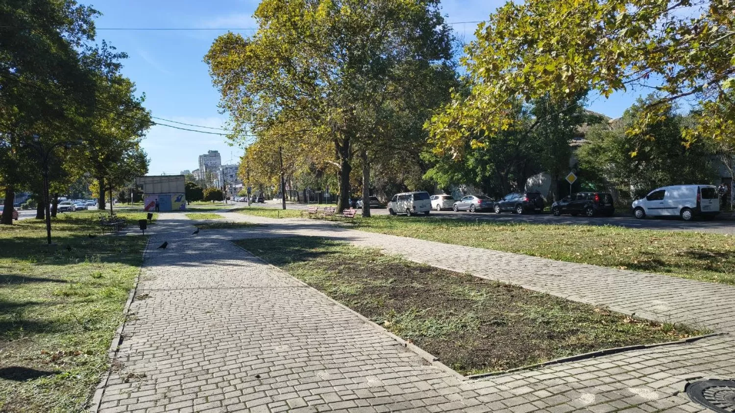 Миколаївцям пропонують обрати назву скверу на Садовій. Фото: МикВісті