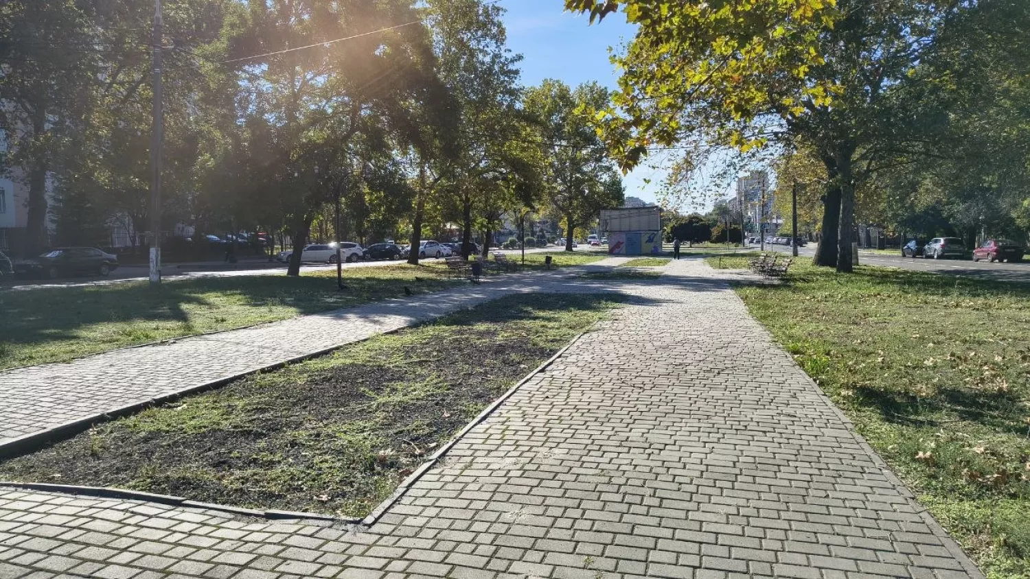 Миколаївці обрали назву скверу на Садовій. Фото: МикВісті
