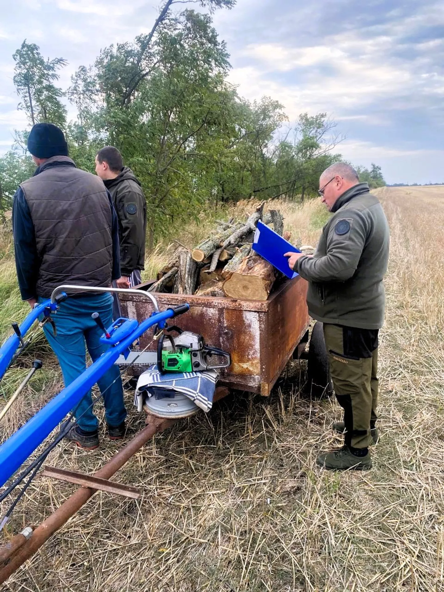 Шість акацій пошкодили на Миколаївщині. Фото: Держекоінспеція