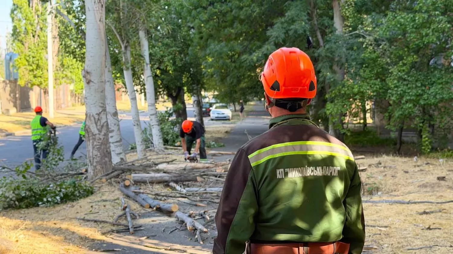 Держекоінспекція склала 16 протоколів на посадовців «Миколаївських парків» за три роки. Фото: пресслужба підприємства