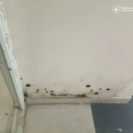 Стан укриттів у Миколаєві. Фото: Представництво Уповноваженого ВРУ з прав людини у Миколаївській області