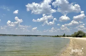За дев’ять місяців рибним запасам на Одещині та Миколаївщині завдали ₴6,5 млн збитків. Ілюстративне фото: МикВісті