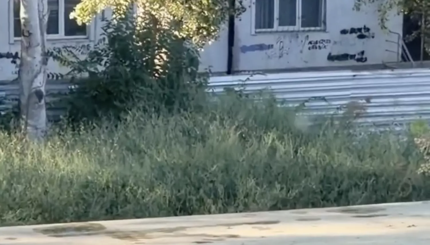 Скриншот з відео