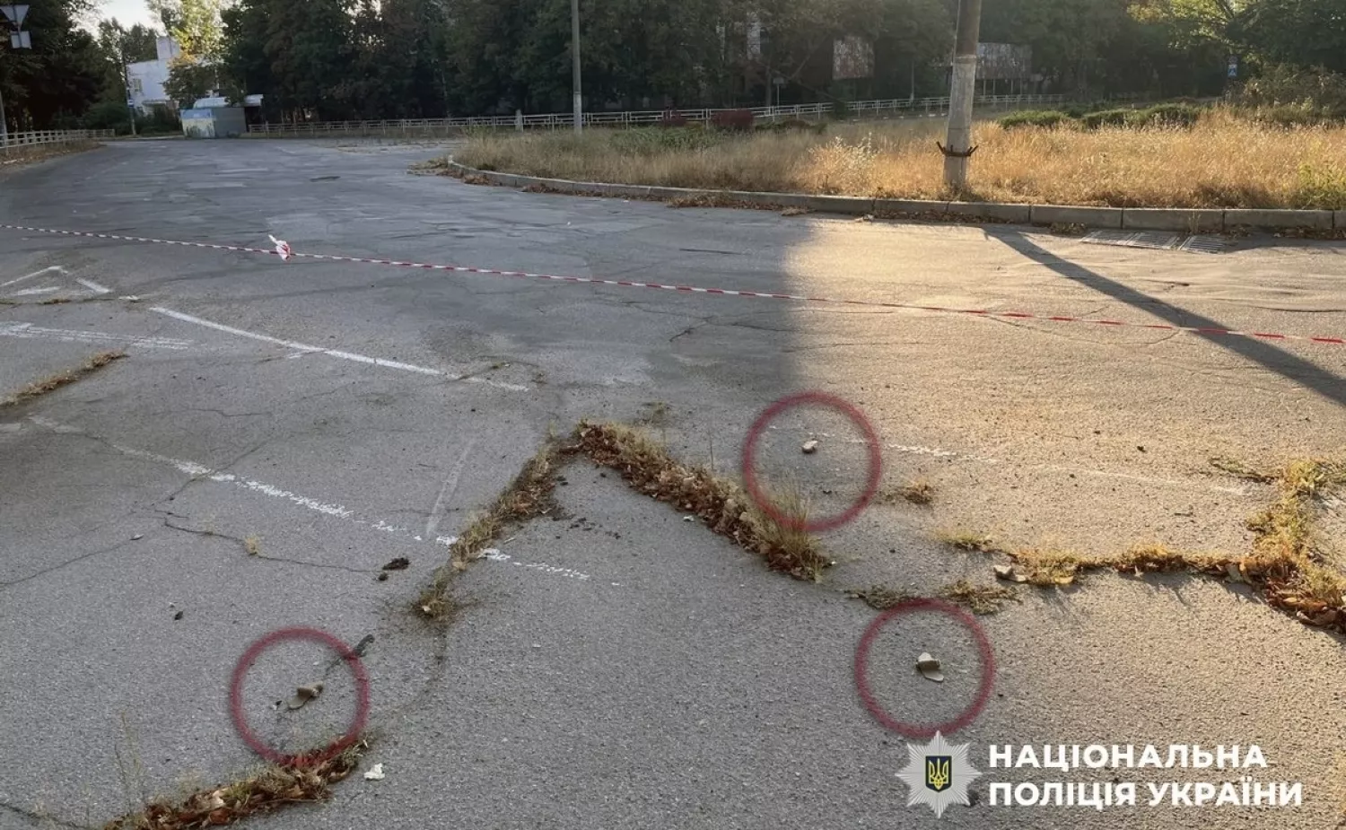 Міни «пелюстка». Ілюстраційне фото: Нацполіція