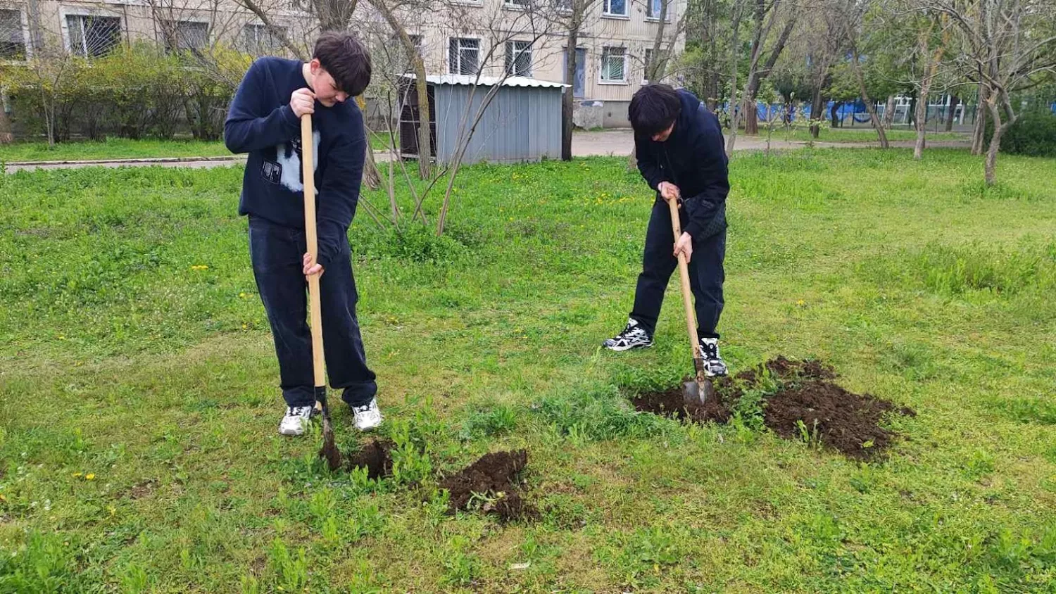 У Миколаєві школярі висадили дерева. Фото для ілюстрації Олександра Ментель