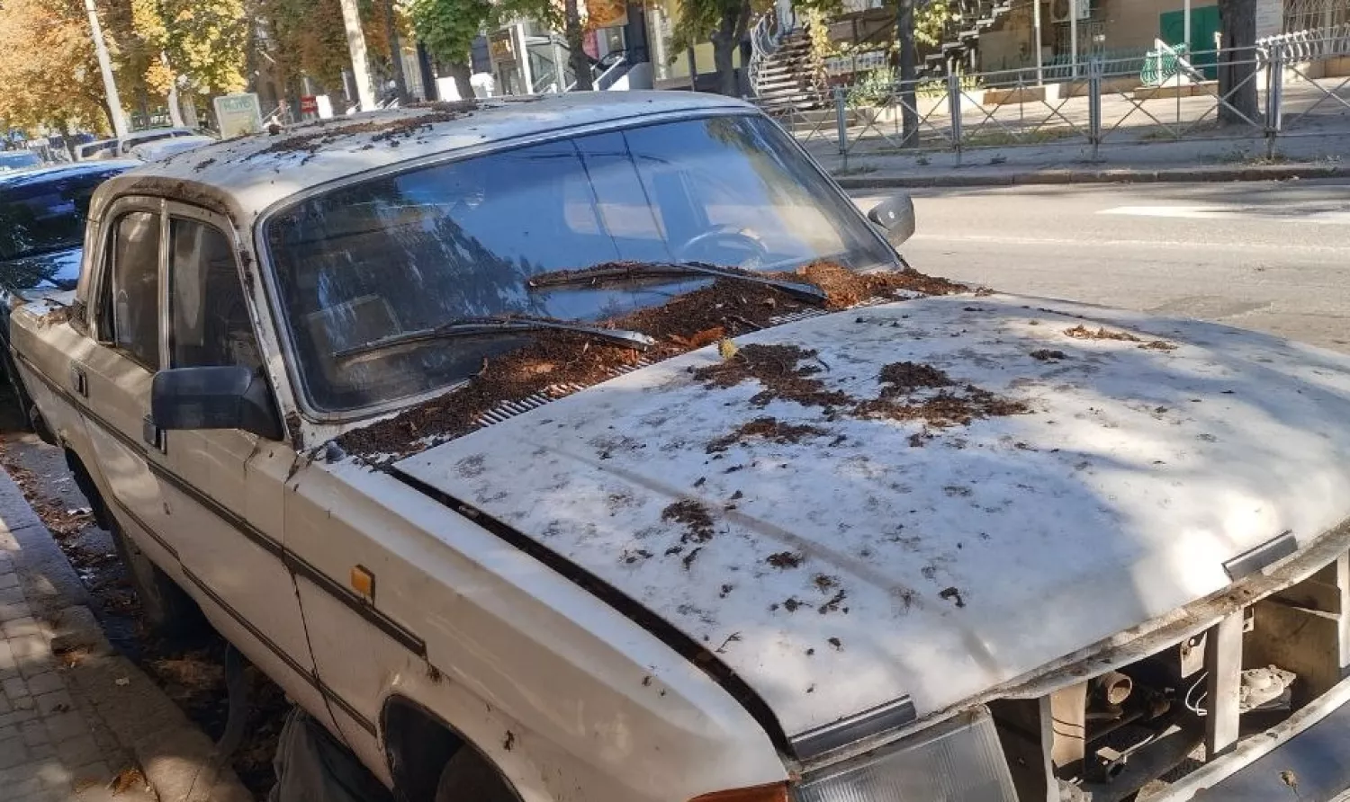 Занедбаний припаркований автомобіль, який припаркований по вулиці Велика Морська. Фото: Юрій Мінін