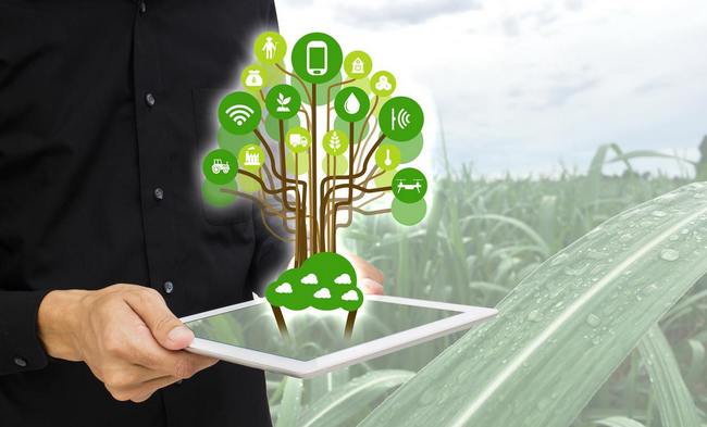 Точное земледелие: технологии будущего сегодня!