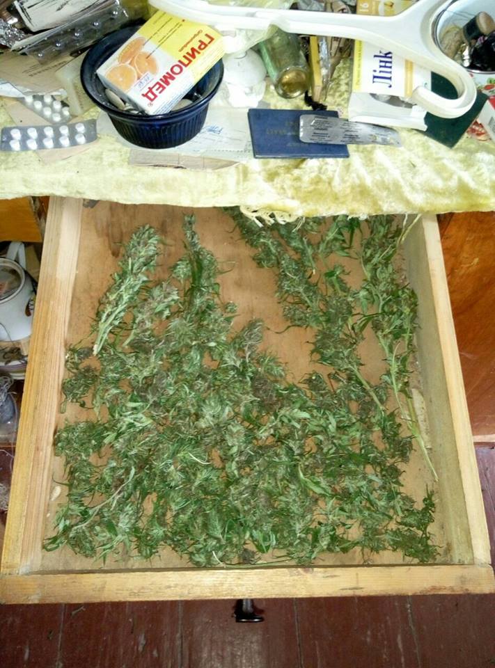 как сушить листья марихуаны